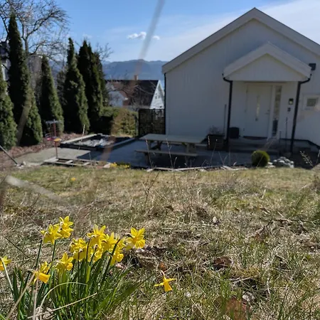 Bright Fjord View Йёрпеланн